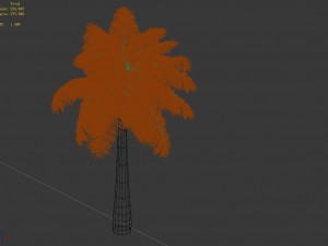 tropical plants-bamboo palm-palm tree 03 Model 3D