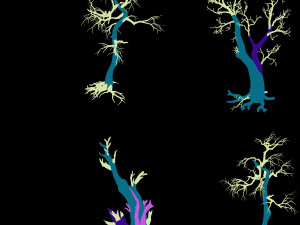 dragon fortress-spider forest withered tree 01 3D 模型
