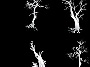 dragon fortress-spider forest withered tree 01 3D 模型
