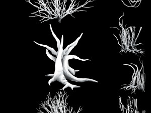 dragon fortress-spider forest withered tree 03 3Dモデル