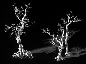 vampire-dead tree 24 3D Model