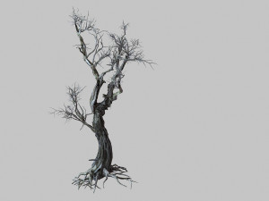 vampire-dead tree 25 3D Model