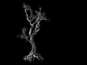 vampire-dead tree 25 Model 3D