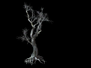 vampire-dead tree 25 3D Model