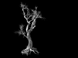 vampire-dead tree 25 3D Model