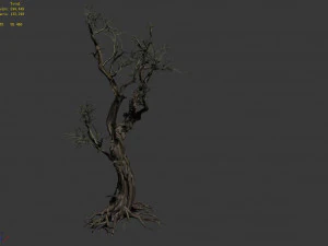 vampire-dead tree 25 3D Model