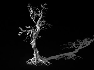 vampire-dead tree 27 3D Model