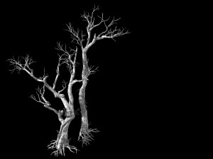 vampire-dead tree 28 3D Model