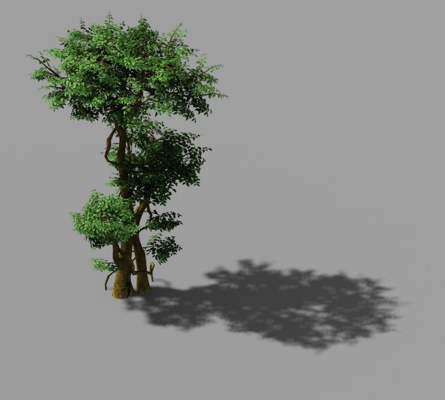 fairy forest-banyan 01 Model 3D .c4d .max .obj .3ds .fbx .stl .blend 