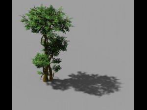 fairy forest-banyan 01 3D Model