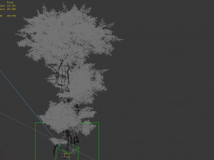 fairy forest-banyan 01 Model 3D