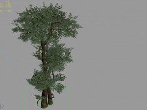 fairy forest-banyan 01 Model 3D