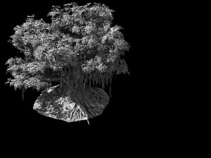 fairy trail-banyan tree 02 Modelo 3D