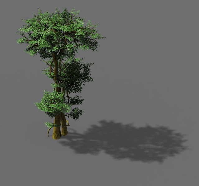fairy forest-banyan 03 3D Model .c4d .max .obj .3ds .fbx .stl .blend 
