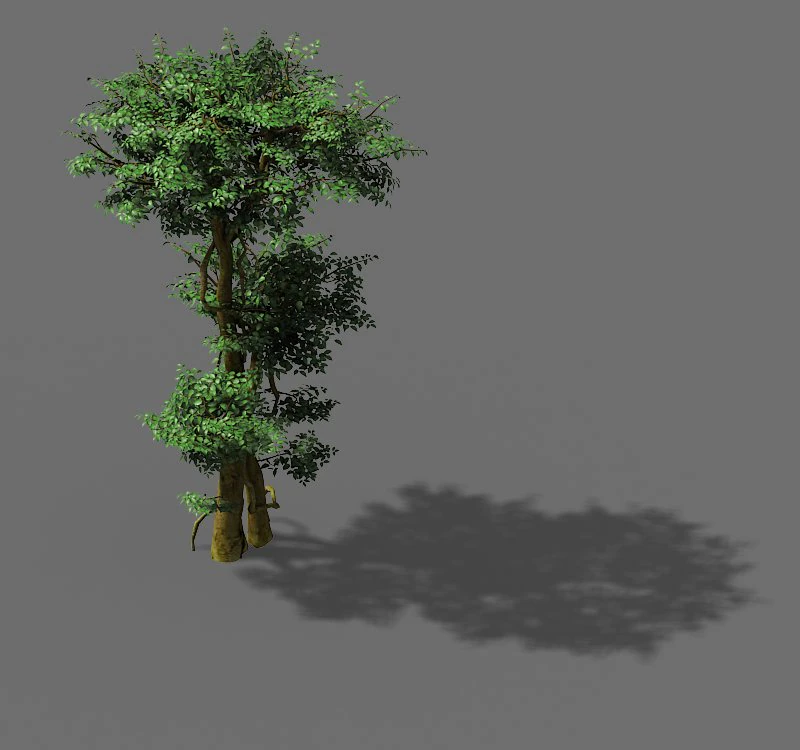 fairy forest-banyan 03 3D Model .c4d .max .obj .3ds .fbx .stl .blend 