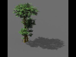 fairy forest-banyan 03 Modèle 3D