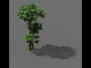 fairy forest-banyan 03 3D Model