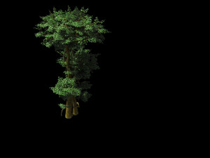 fairy forest-banyan 03 3D Model