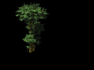 fairy forest-banyan 03 3D Model