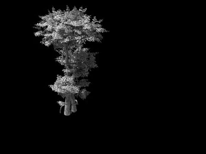 fairy forest-banyan 03 3D Model