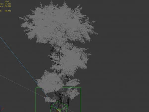 fairy forest-banyan 03 3D Model