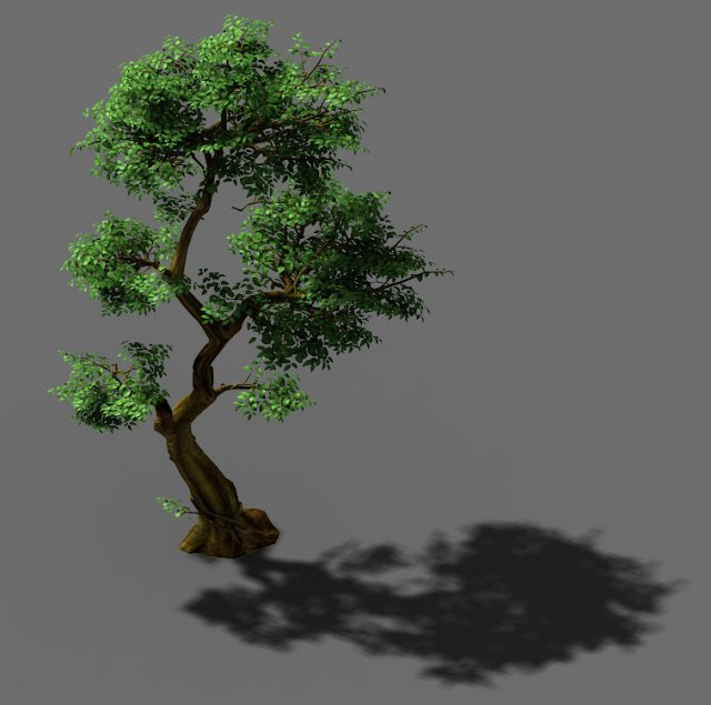 fairy trail-banyan tree 04 3D Модель .c4d .max .obj .3ds .fbx .stl .blend 