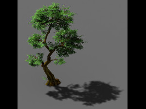 fairy trail-banyan tree 04 Modello 3D