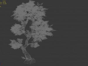 fairy trail-banyan tree 04 3D Модель