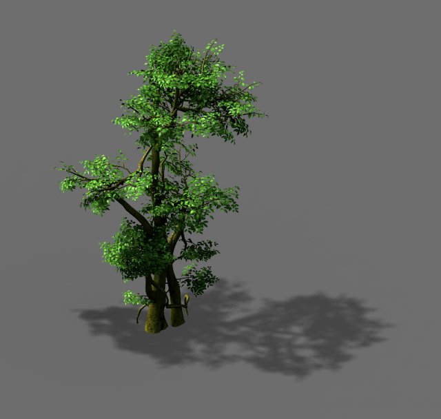 fairy trail-banyan tree 05 3D Model .c4d .max .obj .3ds .fbx .stl .blend 