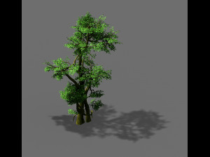 fairy trail-banyan tree 05 3D Model