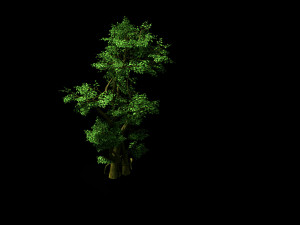 fairy trail-banyan tree 05 3D Model