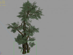 fairy trail-banyan tree 05 3D Model