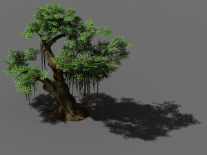 fairy forest-banyan 06 3D Model