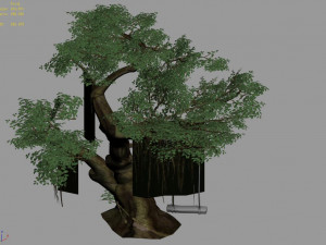 fairy forest-banyan 06 3D Model