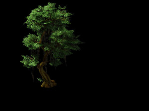 fairy forest-banyan 07 Modèle 3D