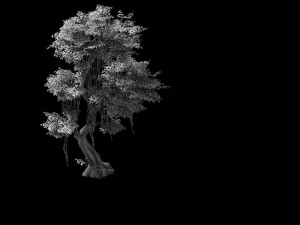 fairy forest-banyan 07 Modèle 3D