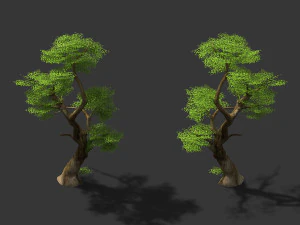 jejak peri-pohon beringin 09 Model 3D