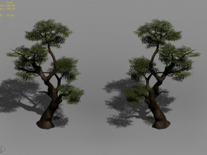 fairy trail-banyan tree 09 3D Model