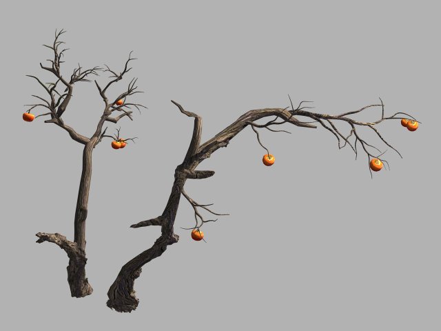 fairy trail forest-persimmon tree 04 3D 모델 .c4d .max .obj .3ds .fbx .stl .blend 