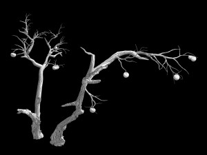 fairy trail forest-persimmon tree 04 3D 모델