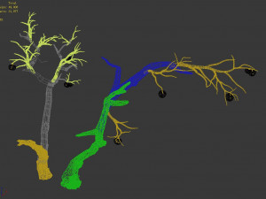 fairy trail forest-persimmon tree 04 3D 모델