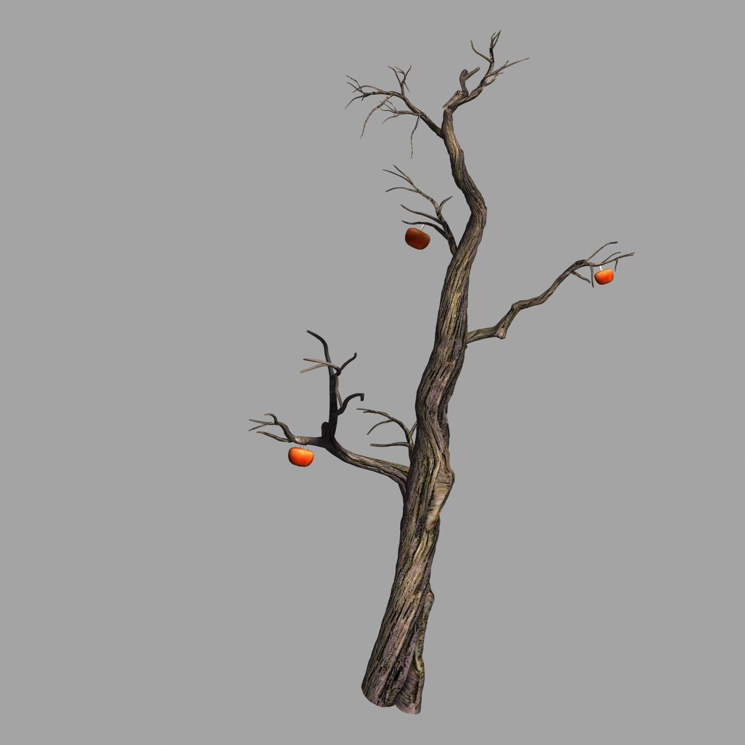 wizard forest-persimmon tree 05 3D Model .c4d .max .obj .3ds .fbx .stl .blend 