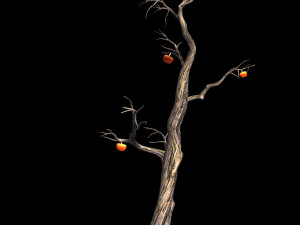 wizard forest-persimmon tree 05 3Dモデル