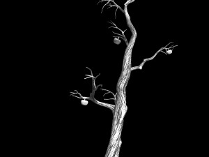 wizard forest-persimmon tree 05 3Dモデル