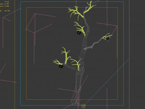 wizard forest-persimmon tree 05 3Dモデル