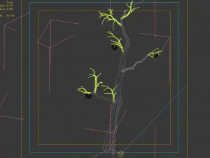 wizard forest-persimmon tree 05 3D Model