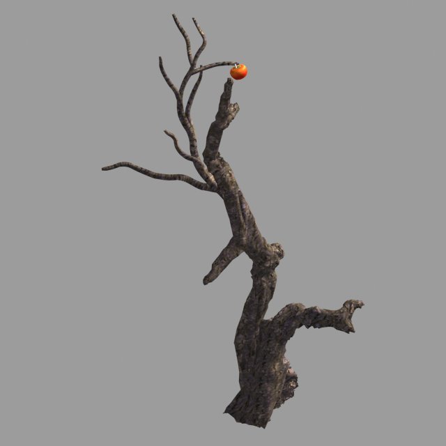 fairy trail forest-persimmon tree 07 Model 3D .c4d .max .obj .3ds .fbx .stl .blend 