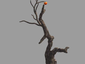 fairy trail forest-persimmon tree 07 3D Model