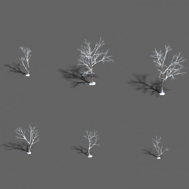 snow-short tree 32 3D Model .c4d .max .obj .3ds .fbx .stl .blend 