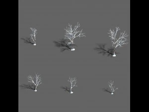 snow-short tree 32 3D Model